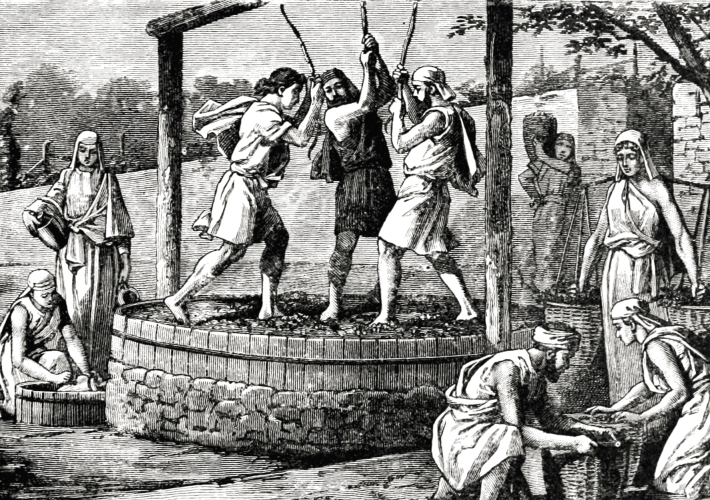 treading grapes